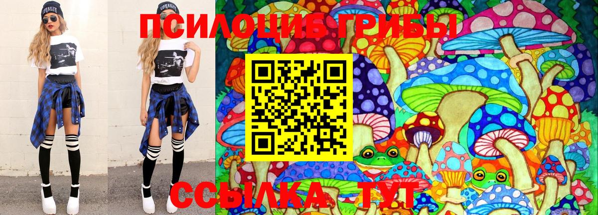 Галлюциногенные грибы Cubensis Краснодар