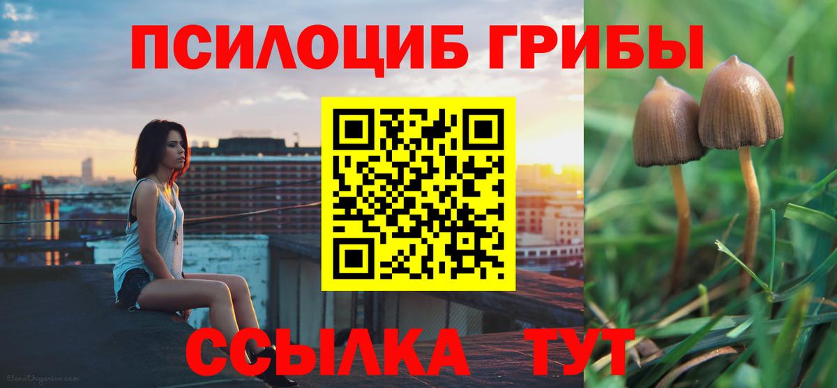 Псилоцибиновые грибы ЛСД  Псилоцибиновые грибы прущие грибы  Вход с VPN  Краснодар 